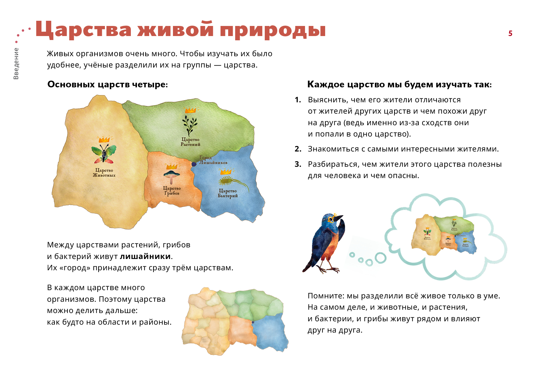 Схема царство живой природы 2 класс