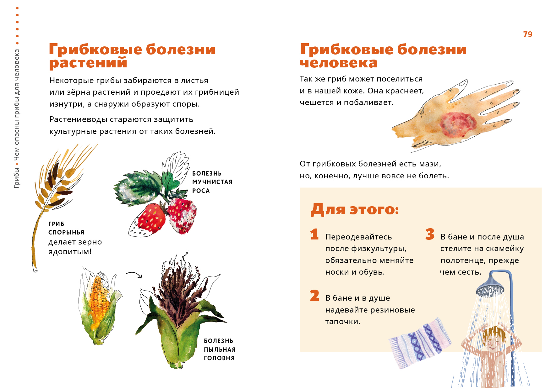 Проект грибковые заболевания растений