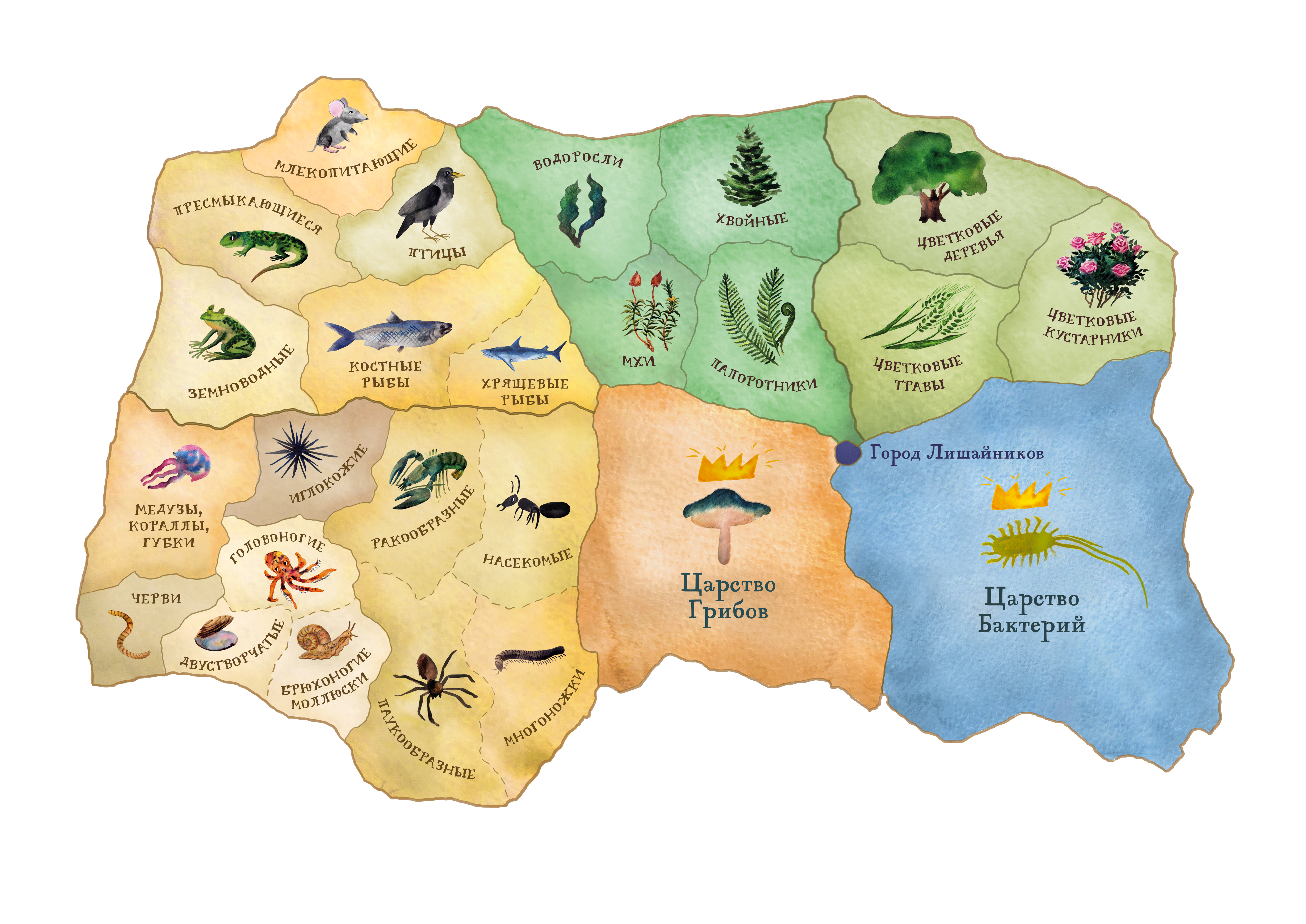 Карта царства природы