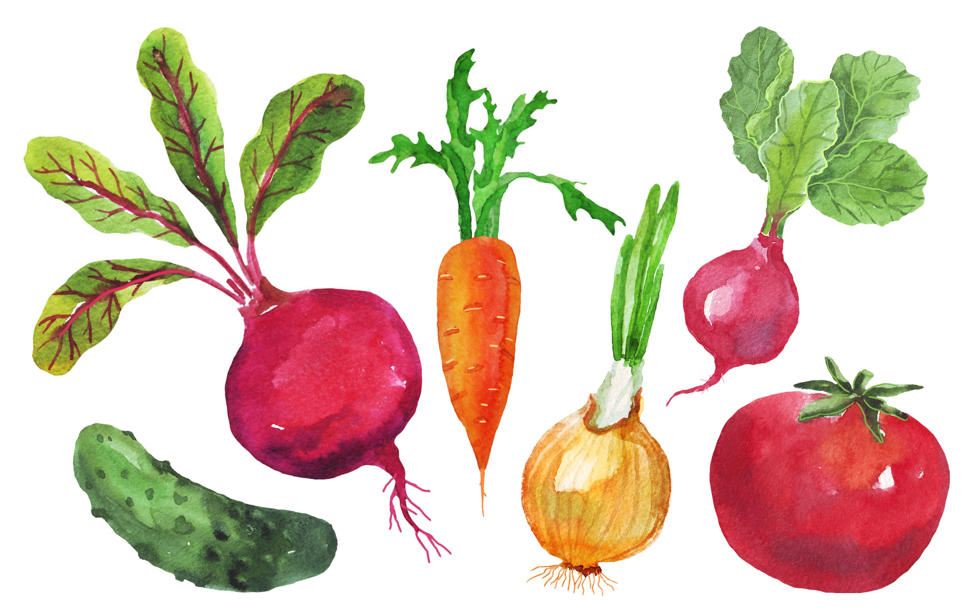 Овощи картинки для детей. Овощи для детей. Овощи для рисования детям. Картина овощи для детей.