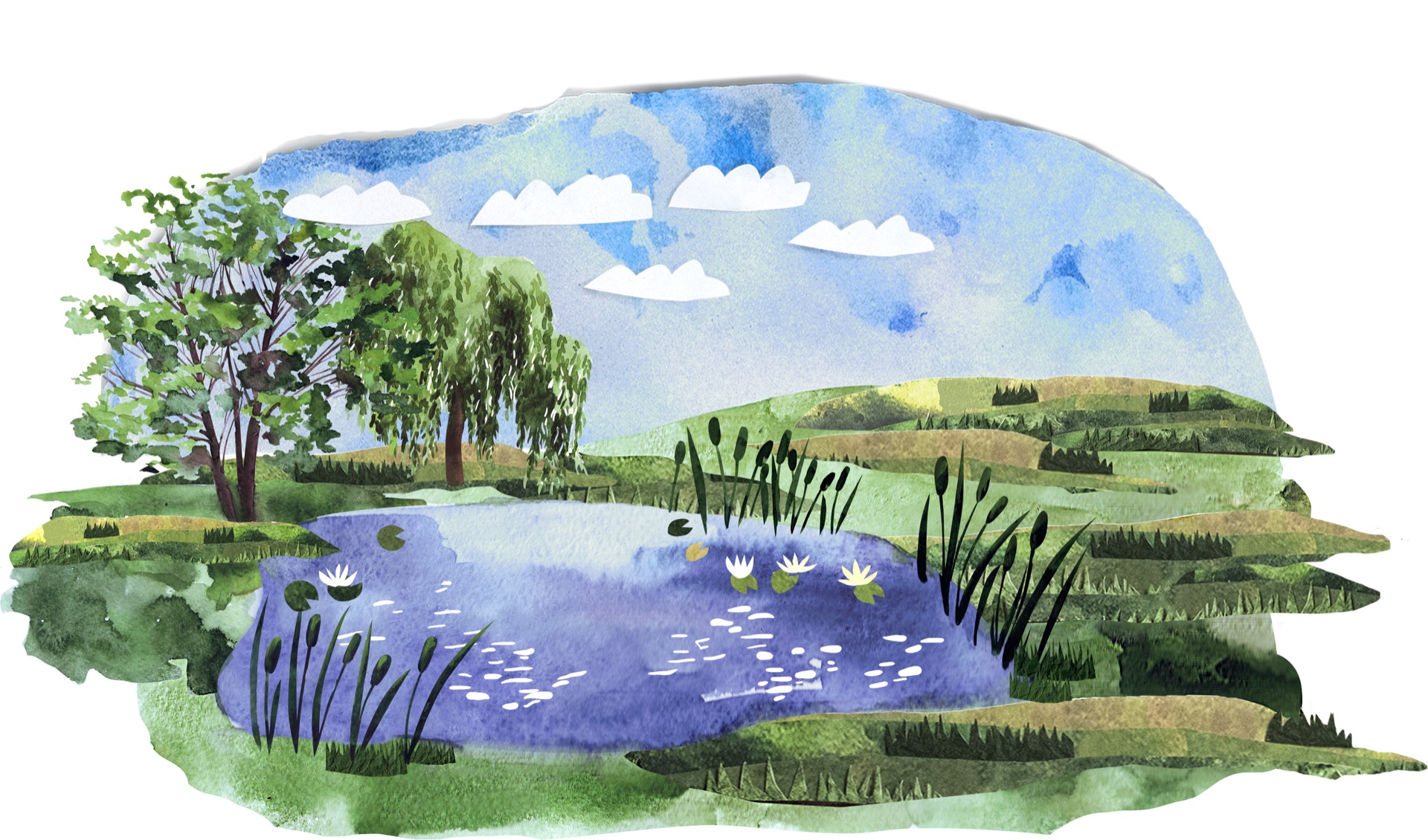 Природное сообщество озеро рисунок. Макет сообщество озеро. Рисунок "природный и культурный ландшафты ". Охрана сообщества озеро. Сообщество озеро 3 класс