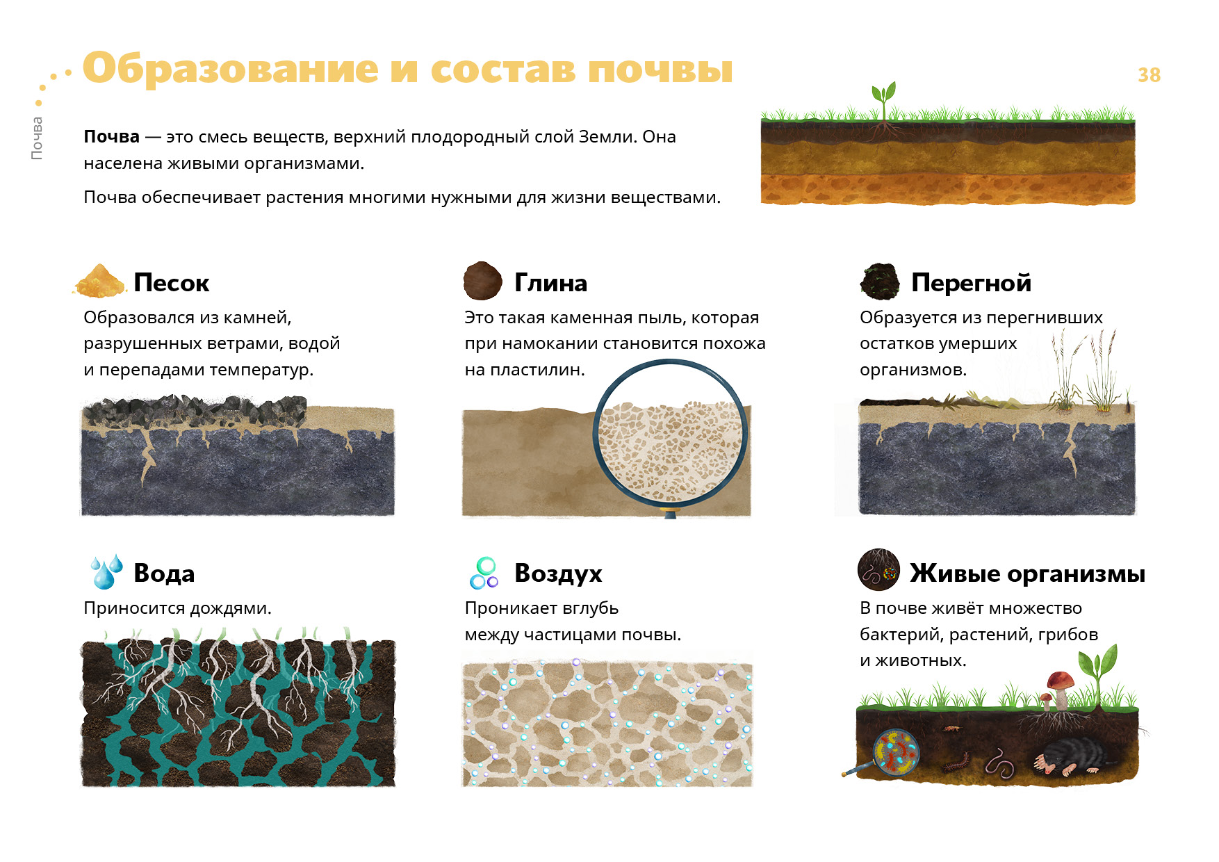 Схема состав почвы 5 класс