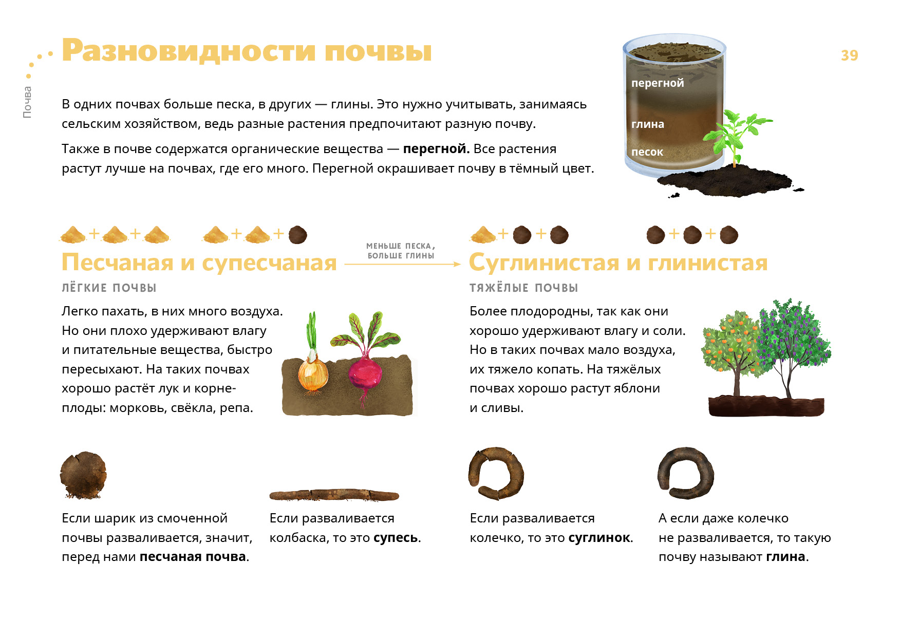 Какой вывод об образцах почв можно сделать в результате этого опыта