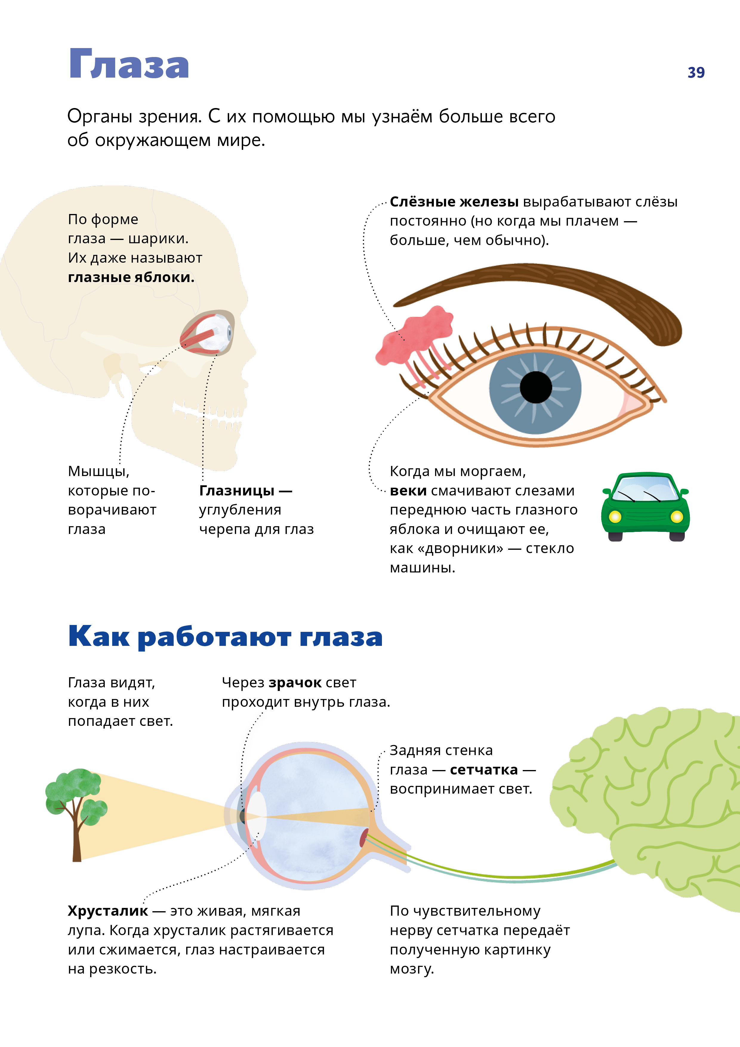 что происходит с глазом когда попадает сперма фото 102