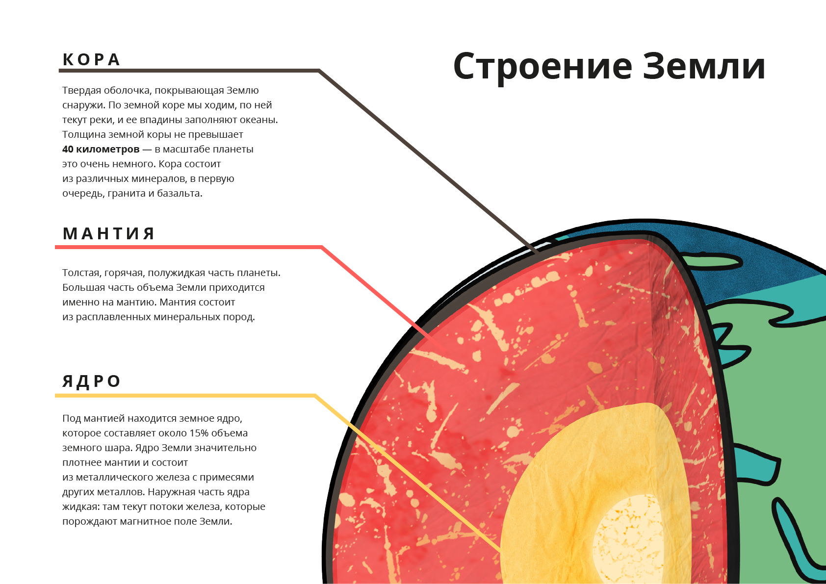 Из чего состоит внутренняя