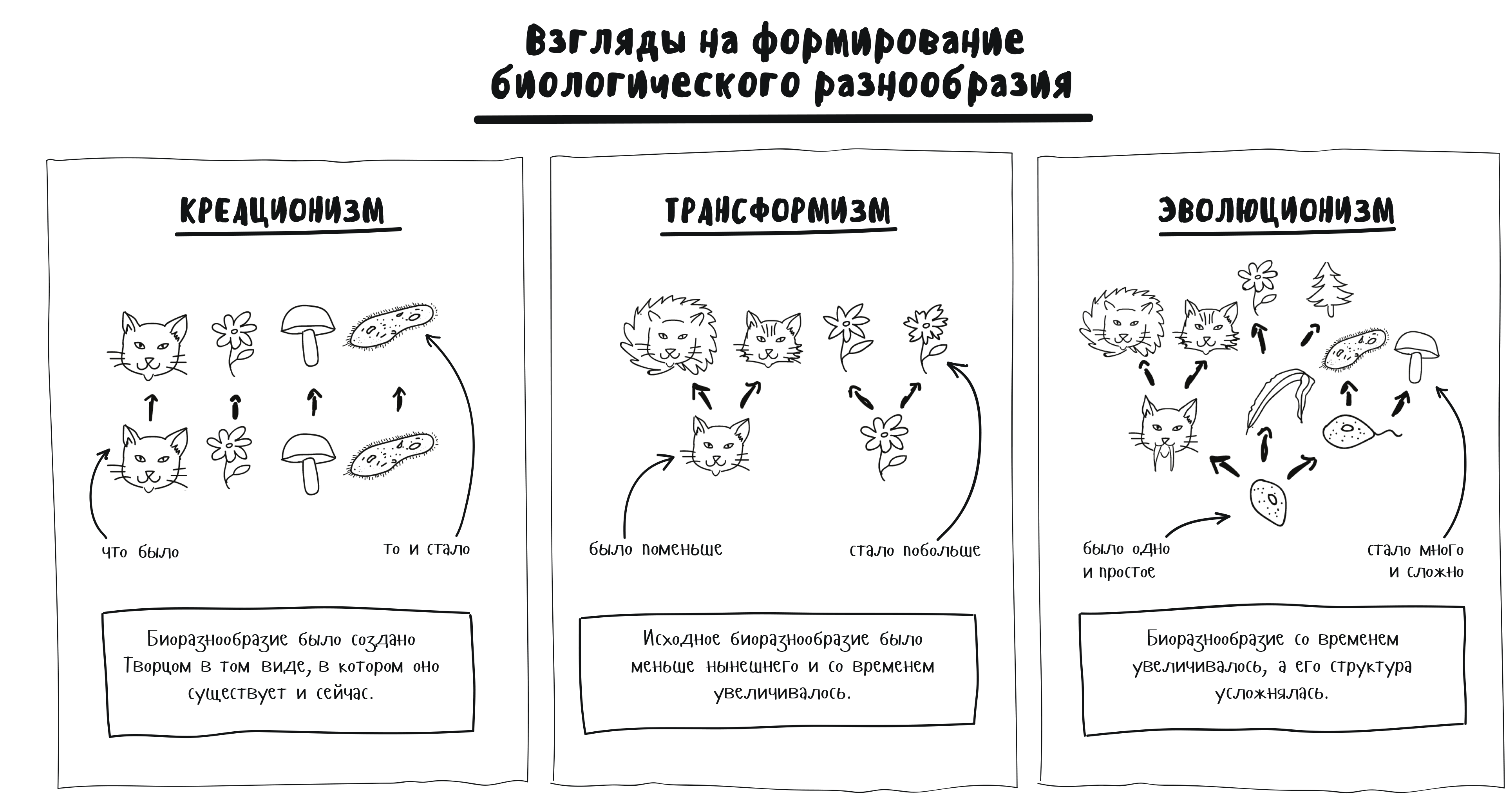 Формирование взгляда на мир. Теория трансформизма биология. Упражнение и неупражнение органов. Креационизм трансформизм эволюционизм. Трансформисты в биологии.