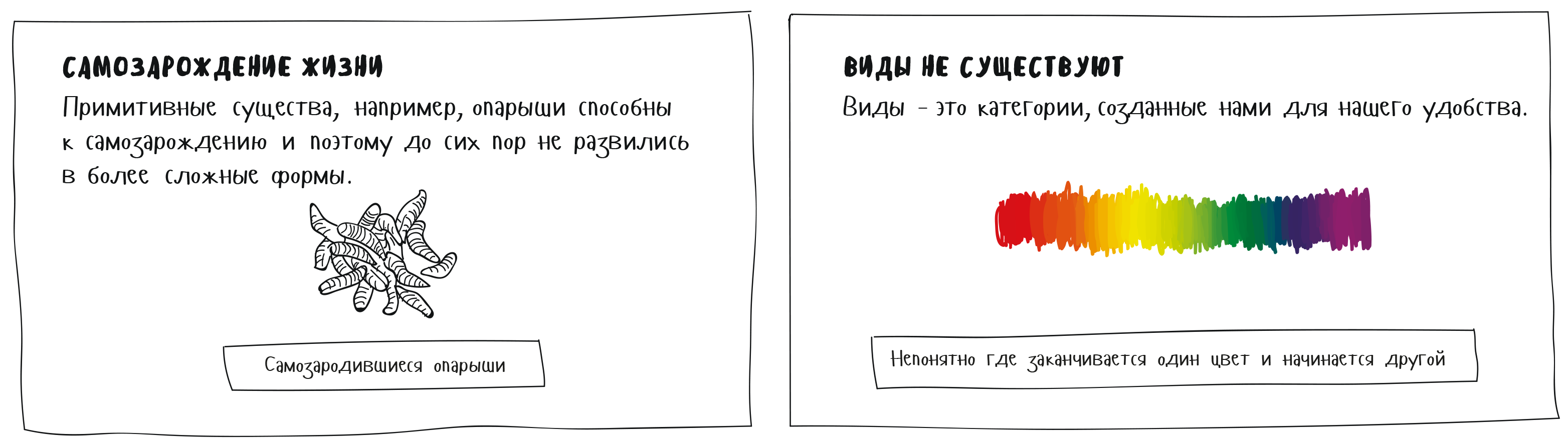 Не понятно откуда. Непонятно где заканчивается 1 цвет и начинается другой.