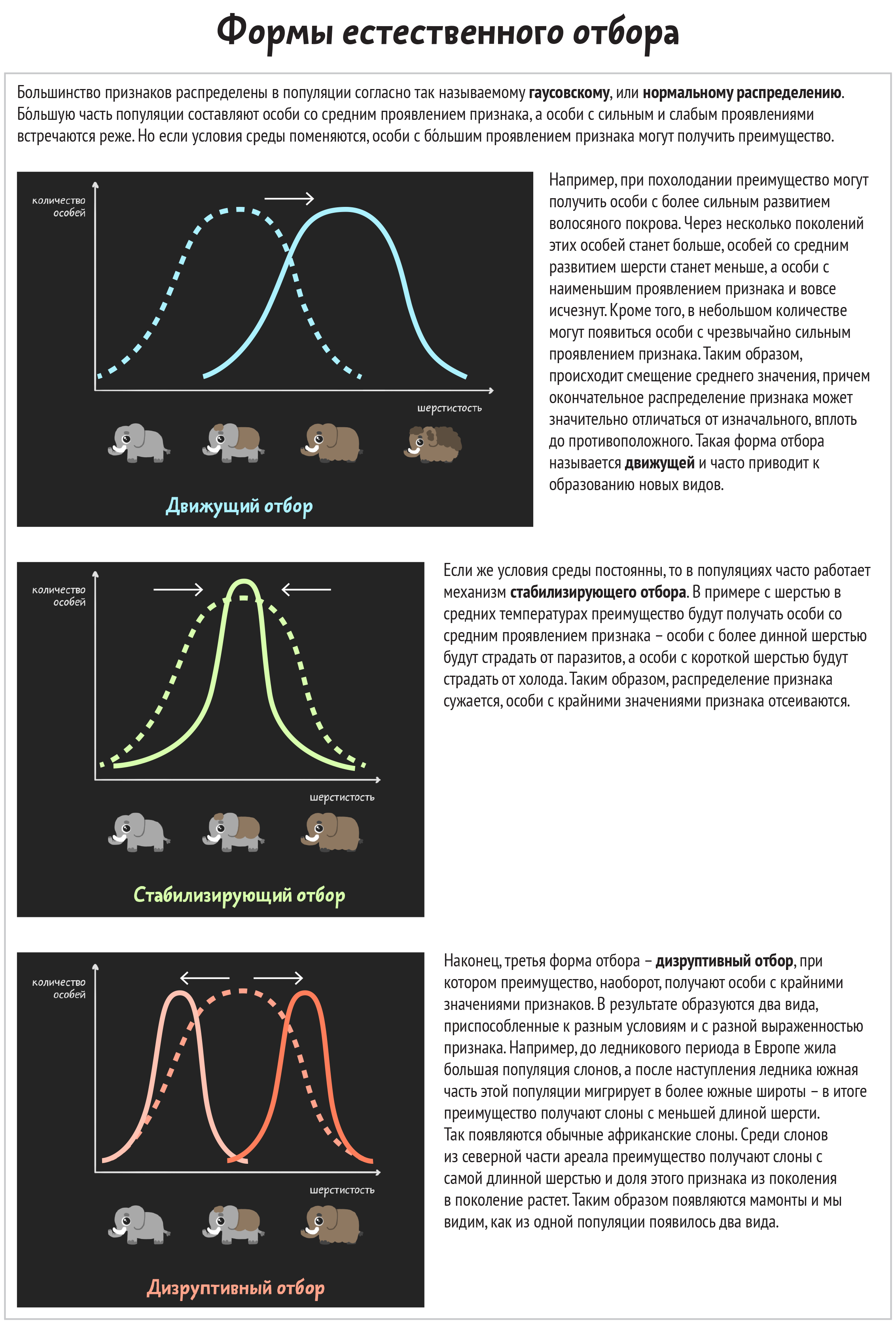 Формы естественного отбора 11 класс. Формы естественного отбора 9 класс. Формы естественного отбора в популяциях. Формы естественного отбора графики.
