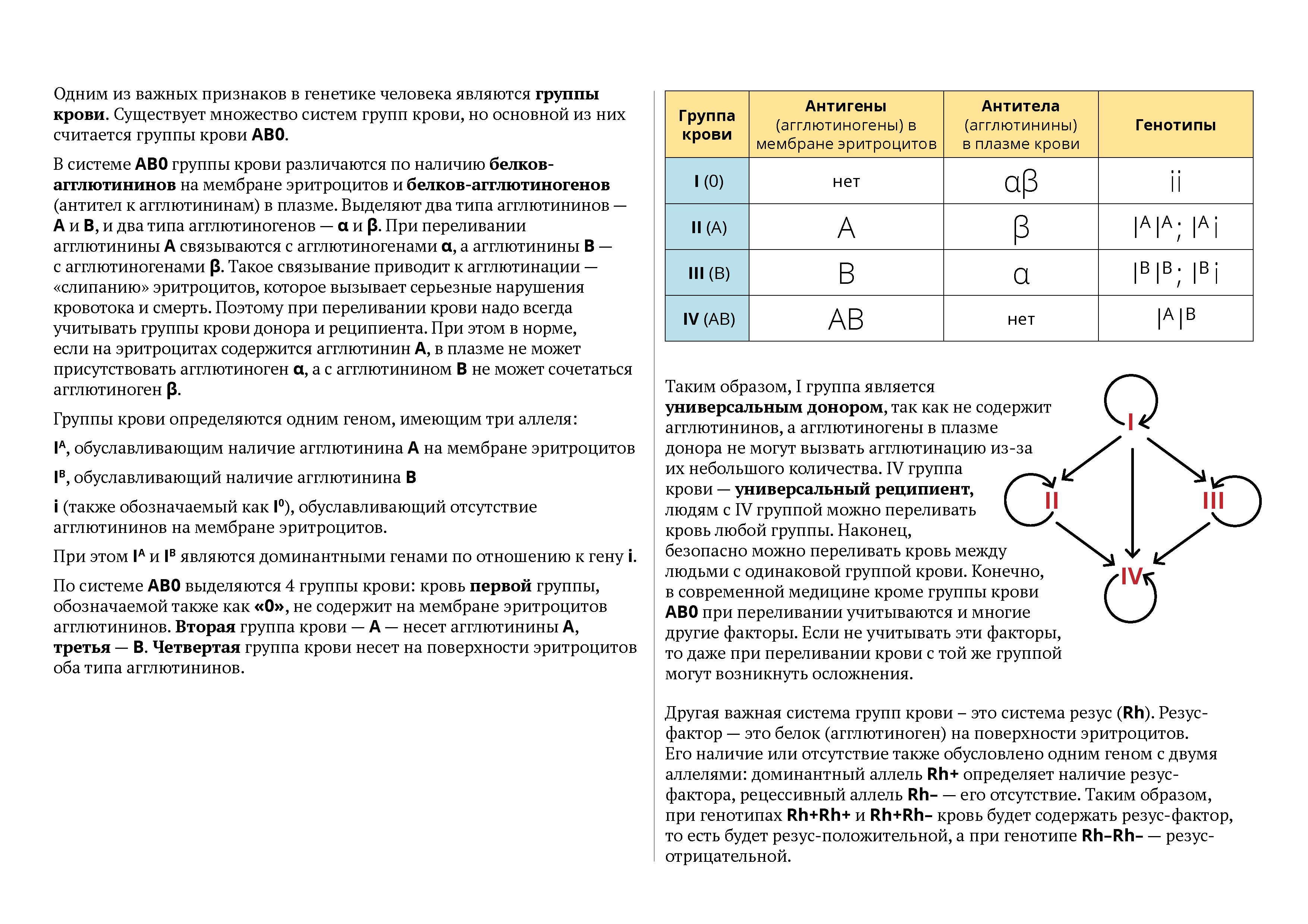 Проект по биологии 10 класс генетика