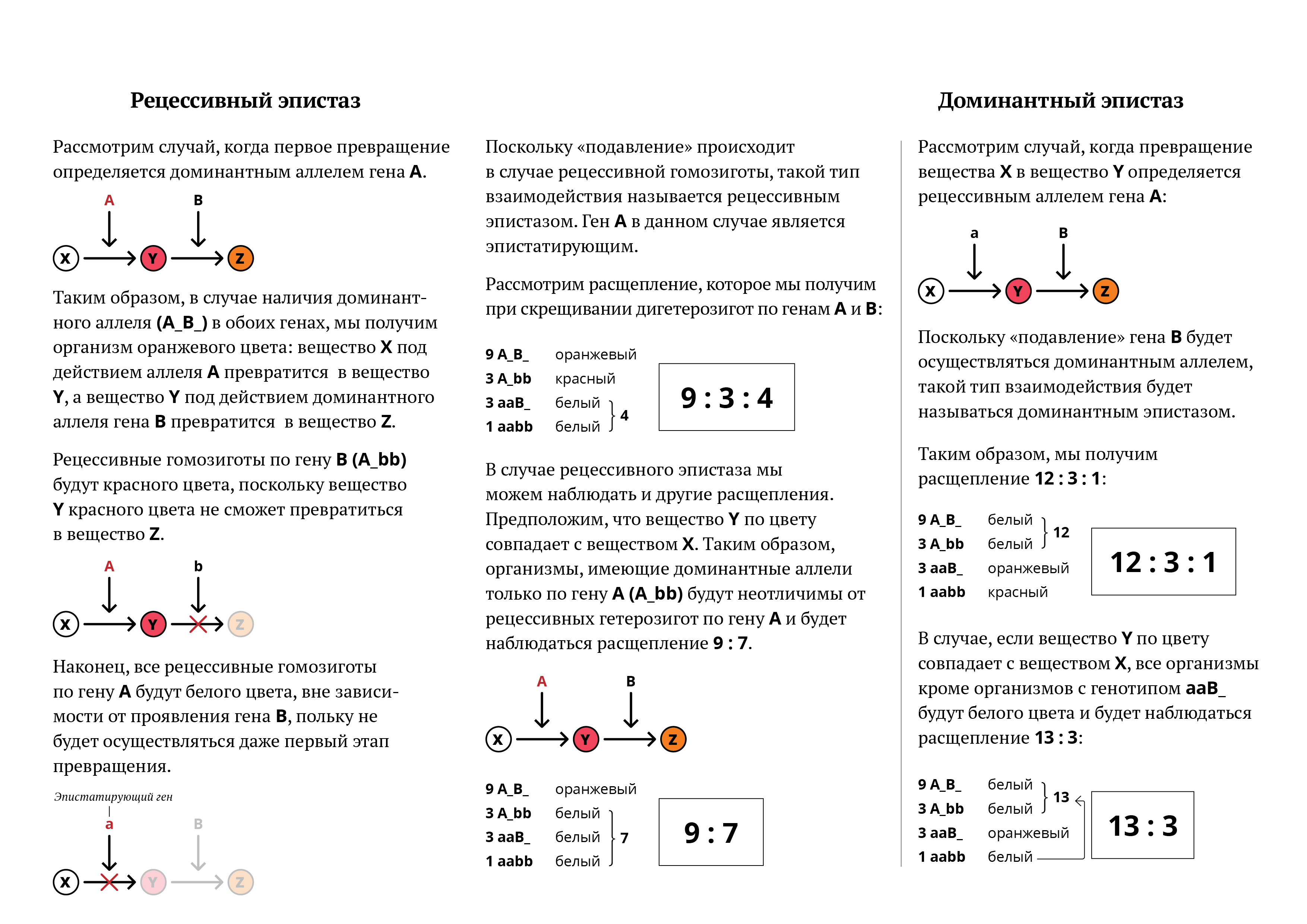 Используя предложенную схему определите доминантным или рецессивным является данный признак впр