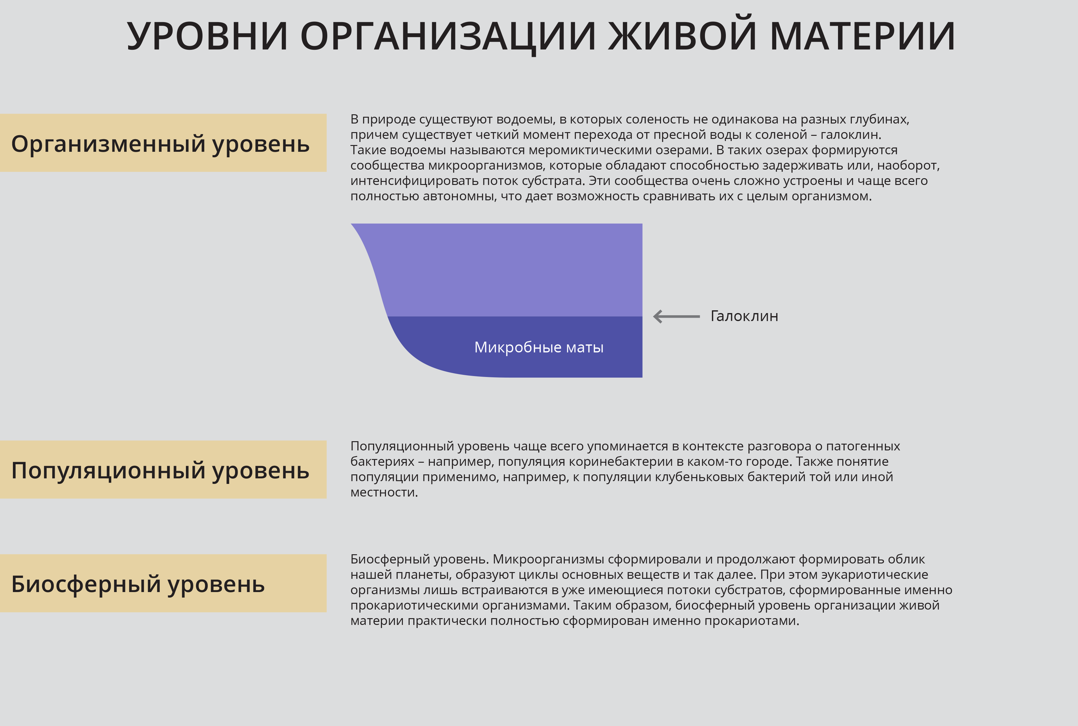 Контекст беседы