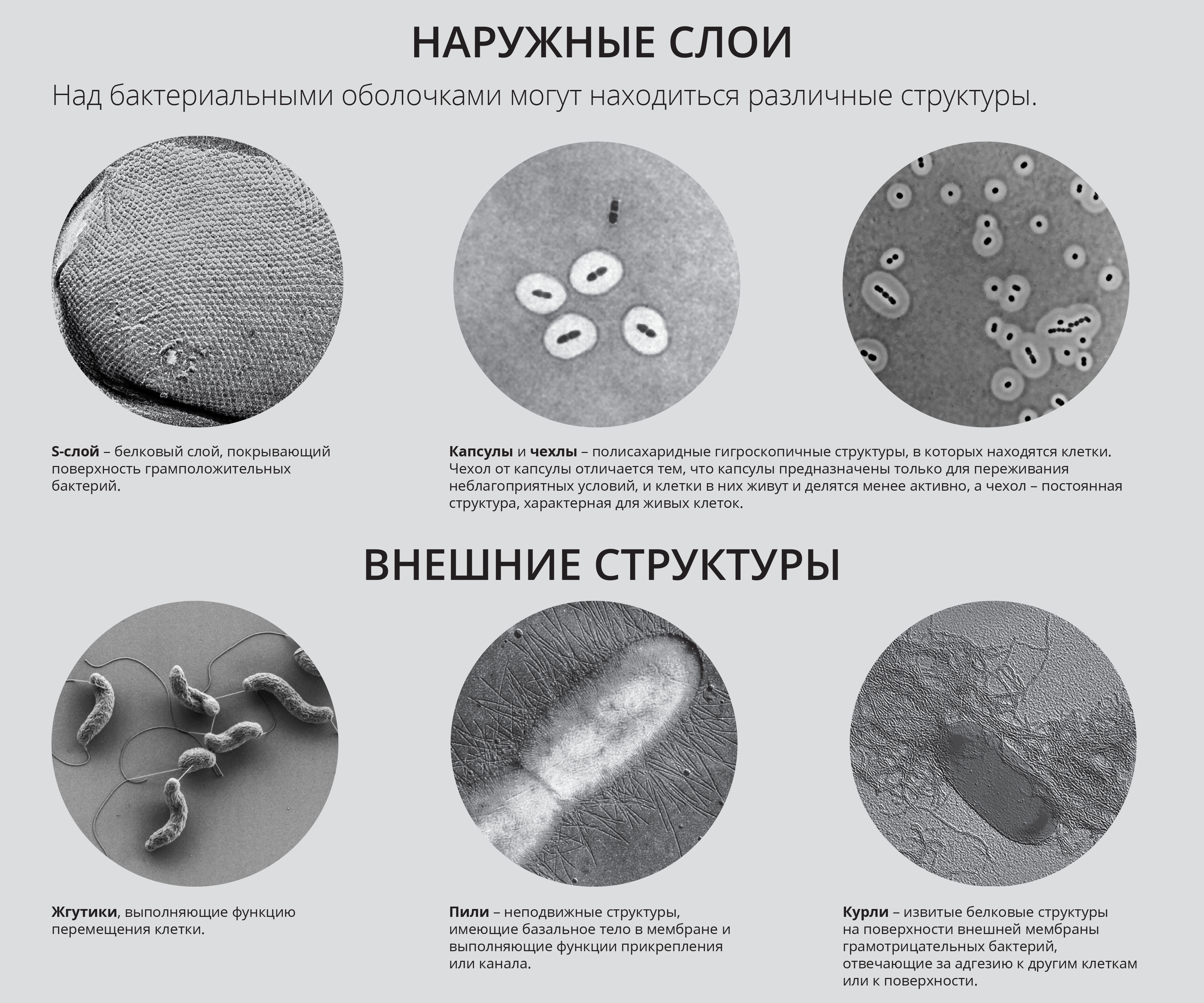 Деление слоев. Внешний слой. Внешний слой меди. Глубокая структуризация слоев. Слои над.