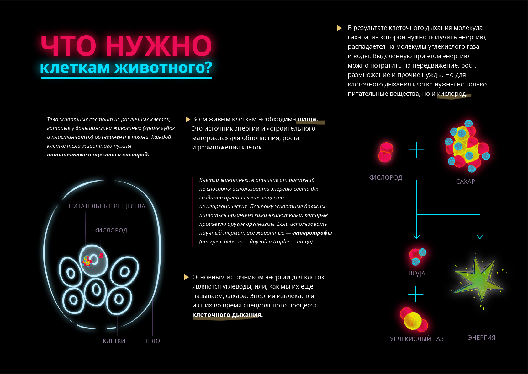 Каждая клетка должна. Что нужно клетке. Что нужно клетке для жизни. ДЛВ размножение нужны спеуиальные клетки. Что нужно для нашей клетки.